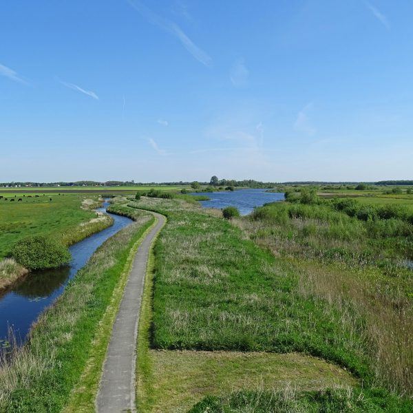 Ae&#039;s Woudbloem (&#039;t Roegwold)